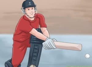 fundamental skills of cricket