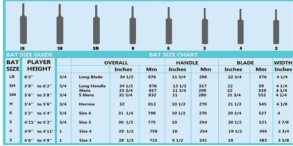 How to Choose a Cricket Bat
