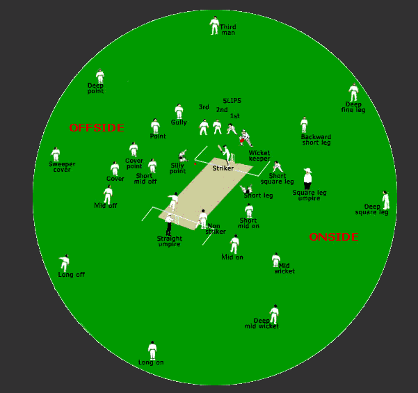 Best Fielding Position in Cricket