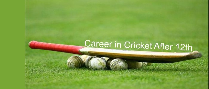Career in Cricket After 12th