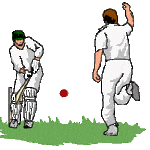 Cricket Practice