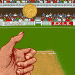 Cricket Toss