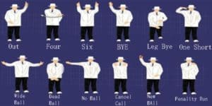 Cricket Umpire Hand Signals