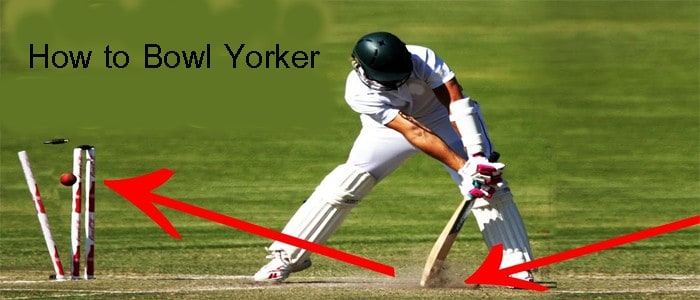 How to Bowl Yorker