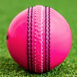 Pink Day Night Cricket Ball