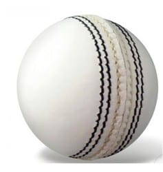 white cricket ball