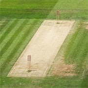 cricket pitch