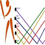 cricket shot selection