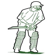 cricket stance