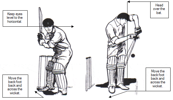 cricket footwork