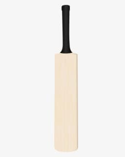 English Willow cricket bat