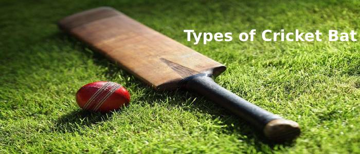 Types of Cricket Bat