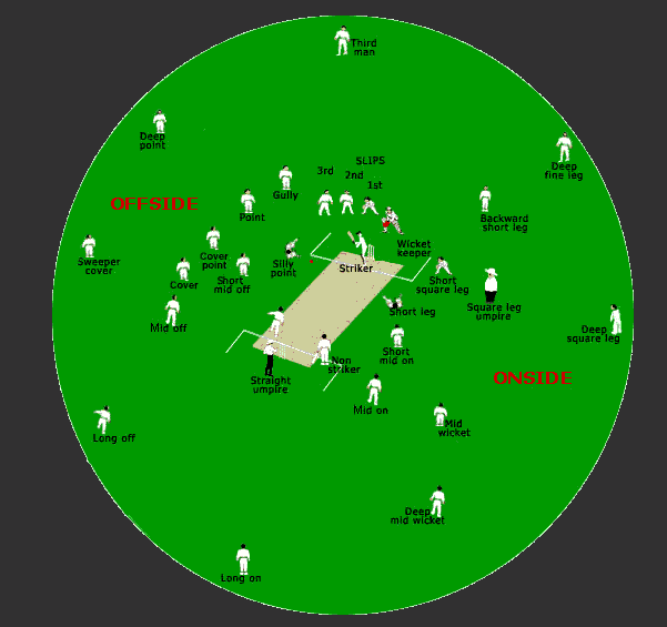 Cricket Fielding Position Names