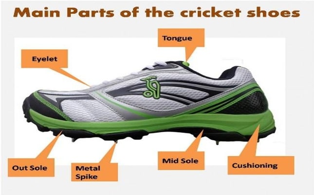 Different Parts of a Cricket Shoes