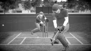 Hotspot technology in cricket